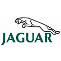 Peinture jaguar